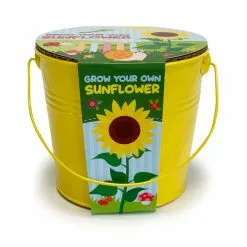 Churchgate Kid's Grow Your Own Sunflowers Kit -DUNEL House Shop 1000183725 alt02
