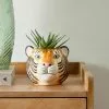 Dunelm Ceramic Tiger Head Pot 12cm -DUNEL House Shop 30716630