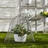 Dunelm Grey Plant Cloche