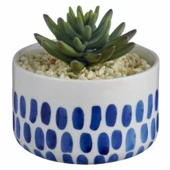 Dunelm Coastal Dottie Mini Succulent -DUNEL House Shop 30729960 alt02