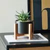 Dunelm Black Pot On A Wooden Stand With Plant -DUNEL House Shop 30729965
