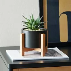 Dunelm Black Pot On A Wooden Stand With Plant