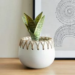 Dunelm Jute Detailed Pot With Plant