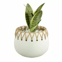 Dunelm Jute Detailed Pot With Plant -DUNEL House Shop 30729982 alt02