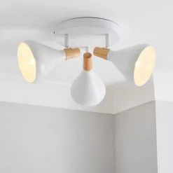 Elements Wolston 3 Light Spotlight