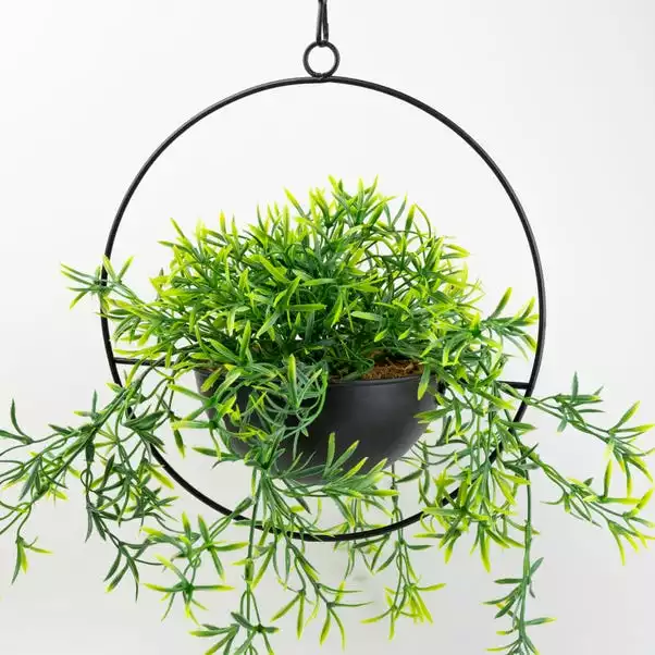 Dunelm Industrial Round Black Hanging Plant 4 Dunelm Industrial Round Black Hanging Plant - Image 2