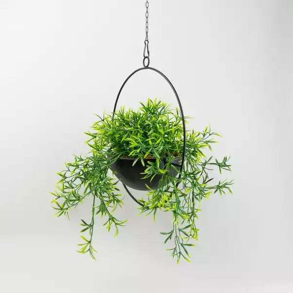 Dunelm Industrial Round Black Hanging Plant 5 Dunelm Industrial Round Black Hanging Plant - Image 3