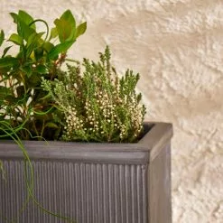 DUNEL House Shop 21 DUNEL House Shop -DUNEL House Shop 30747048 alt01