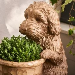 Dunelm Cockapoo Planter -DUNEL House Shop 30748367 alt01