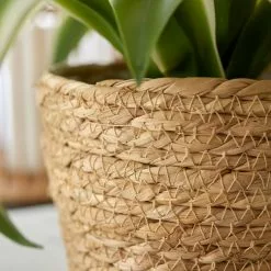 Dunelm Woven Plant Pot Natural Medium -DUNEL House Shop 30751187 alt01