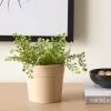 Dunelm Small Ceramic Pink Plant Pot