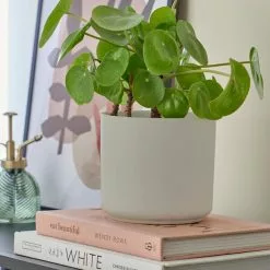 Dunelm Grey Ceramic Plant Pot