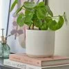 Dunelm White Ceramic Plant Pot 1 Dunelm White Ceramic Plant Pot -DUNEL House Shop 30751212
