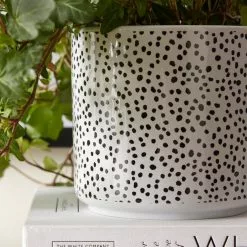 Dunelm Ceramic Dotty Plant Pot -DUNEL House Shop 30751217 alt01