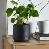 Dunelm Ceramic Plant Pot Luxe Black -DUNEL House Shop 30751218