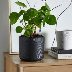 Dunelm Ceramic Plant Pot Luxe Black