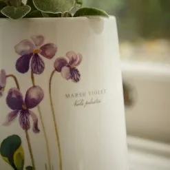Natural History Museum Marsh Violet Ceramic Plant Pot -DUNEL House Shop 30757824 alt02