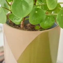 Elements Sculpted Green Plant Pot On Stand -DUNEL House Shop 30765431 alt02