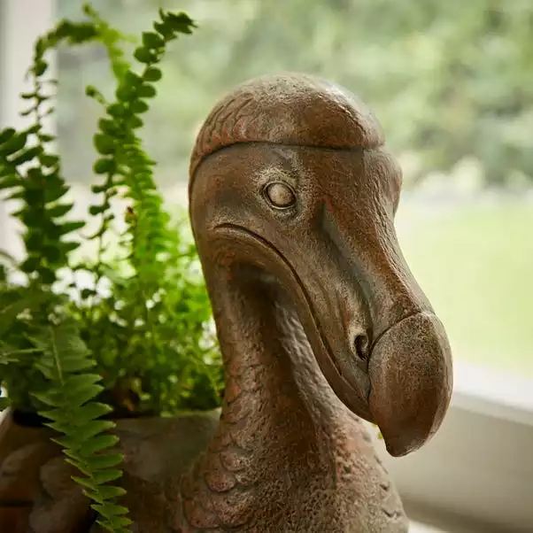 Natural History Museum Dodo Plant Pot 5 Natural History Museum Dodo Plant Pot - Image 3