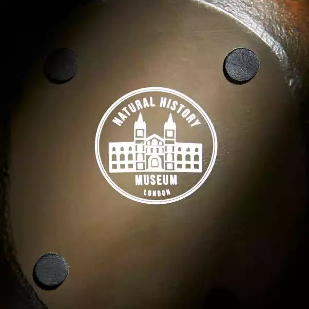 Natural History Museum Dodo Plant Pot 6 Natural History Museum Dodo Plant Pot - Image 4