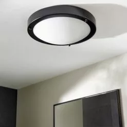 Dunelm Pluto Black Bathroom 1 Light Flush Ceiling Fitting -DUNEL House Shop 30789911 alt01