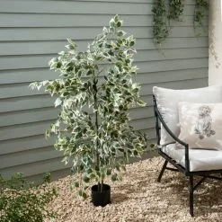 Dunelm Variegated Ficus Tree 155cm