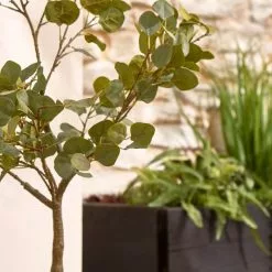 Dunelm Eucalyptus Tree 100cm -DUNEL House Shop 30792754 alt01