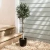 Dunelm Olive Tree 100cm -DUNEL House Shop 30792755