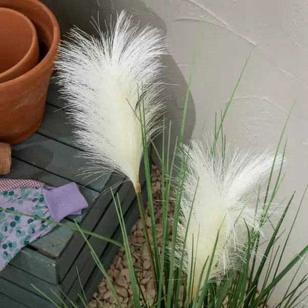 Dunelm Potted Pampas 100cm 4 Dunelm Potted Pampas 100cm - Image 2