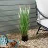 Dunelm Foxtail Potted Grass 80cm 1 Dunelm Foxtail Potted Grass 80cm -DUNEL House Shop 30792757