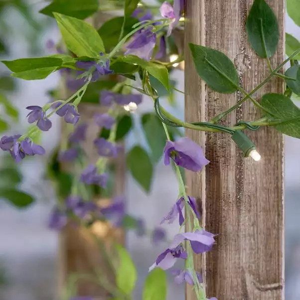 Dunelm Wisteria Solar Light Up Garland 4 Dunelm Wisteria Solar Light Up Garland - Image 2
