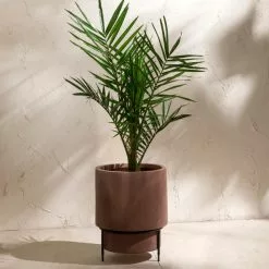 Dunelm Fibre Clay Rust Planter On A Stand