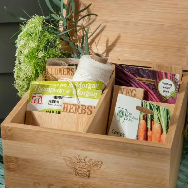 Dunelm Seeds Storage Box 4 Dunelm Seeds Storage Box - Image 2