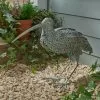 Dunelm Metal Curlew Bird -DUNEL House Shop 30795367