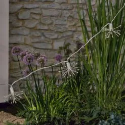 Dunelm Starburst Solar String Lights -DUNEL House Shop 30795389 alt01