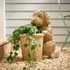 Dunelm Cockapoo Planter -DUNEL House Shop 30798164