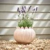 Dunelm Poppy Head Planter
