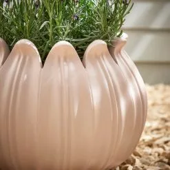 Dunelm Poppy Head Planter -DUNEL House Shop 30798180 alt01