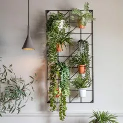 Cedar & Sage Bari 8 Wall Planters