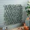 Dunelm Artificial Eucalyptus Trellis 180cm -DUNEL House Shop 30799971