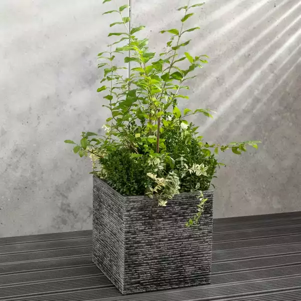 Strata Large 38cm Square Slate Planter 3 Strata Large 38cm Square Slate Planter