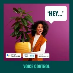 WiZ Connected WiZ Imageo Smart 4 Light LED Adjustable Spotlight -DUNEL House Shop 30838378 alt06