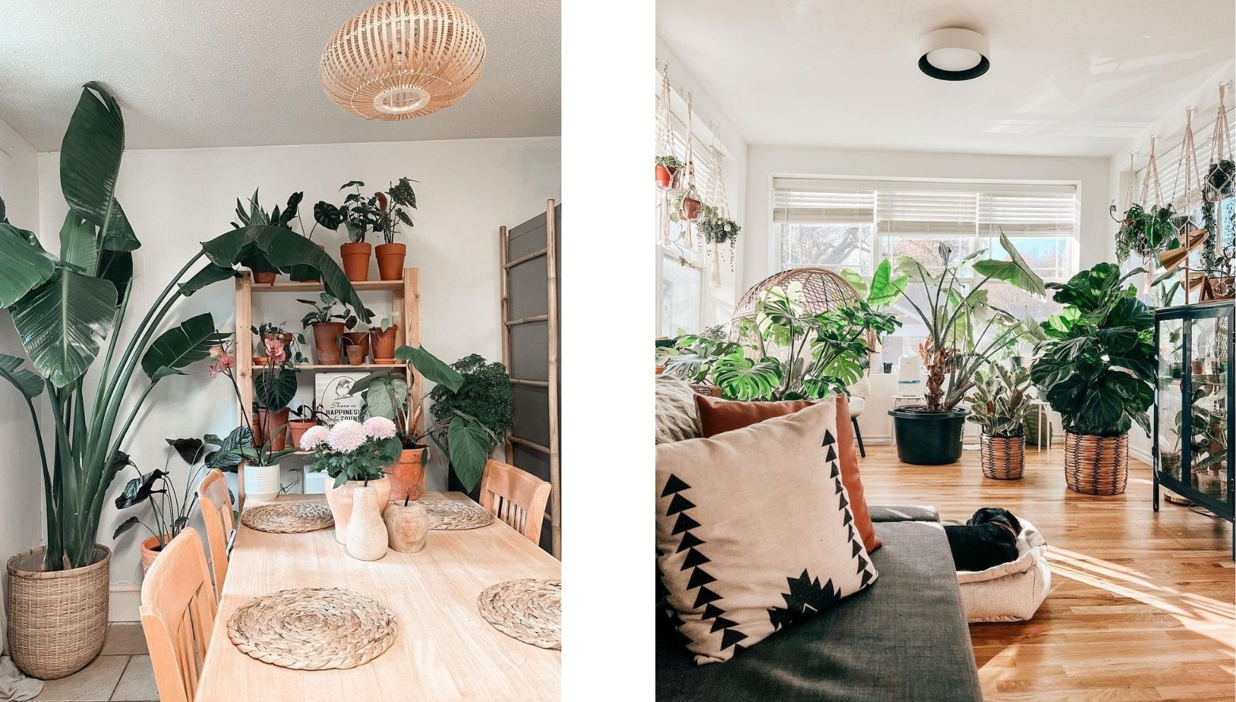 DUNEL House Shop 10 DUNEL House Shop -DUNEL House Shop 2673744416eb3e984625f0b4e17ae262